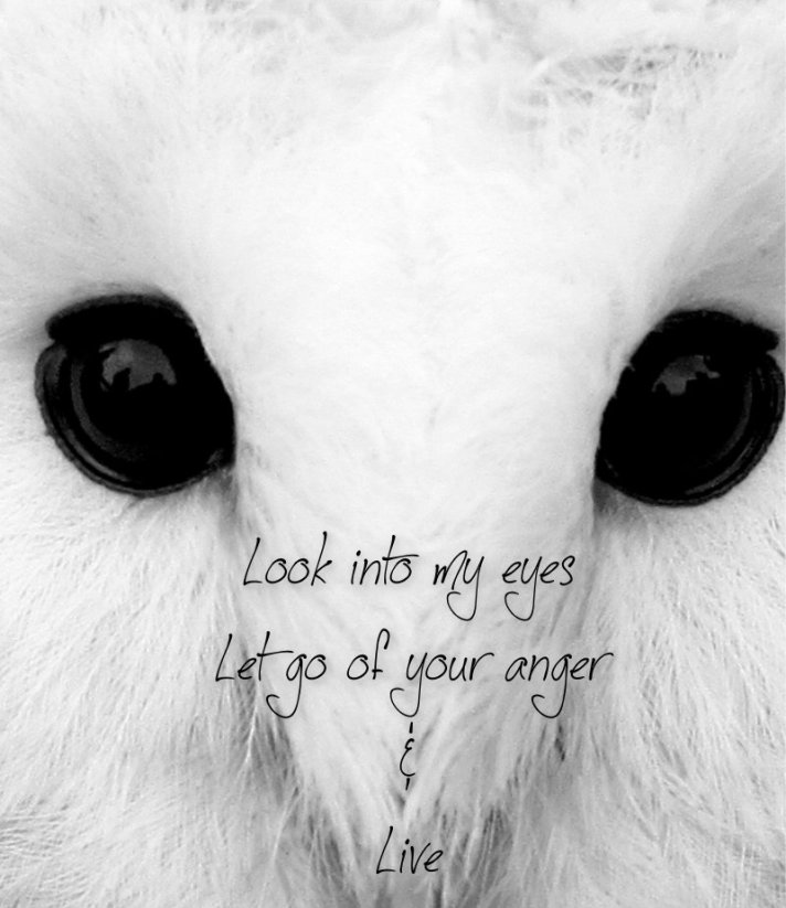 pizap.com10.73905809270218011375199833855