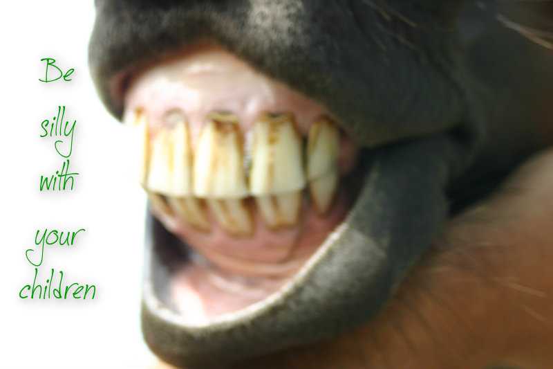 pizap.com10.74166976707056161376534431733