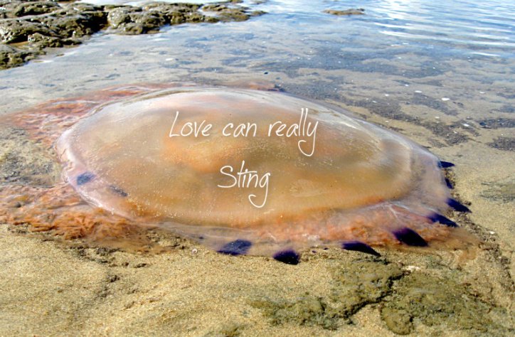 pizap.com10.74269244959577921376176486695