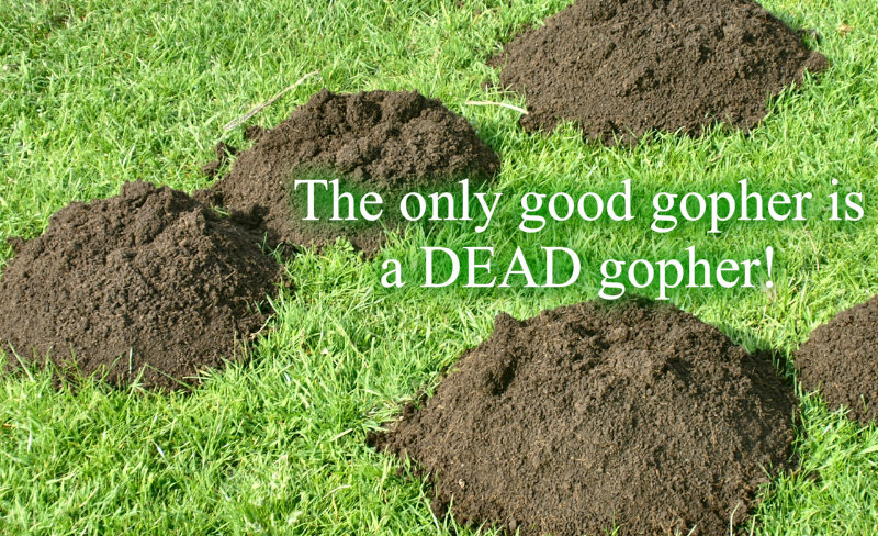 pizap.com10.7437658645212651374466332946