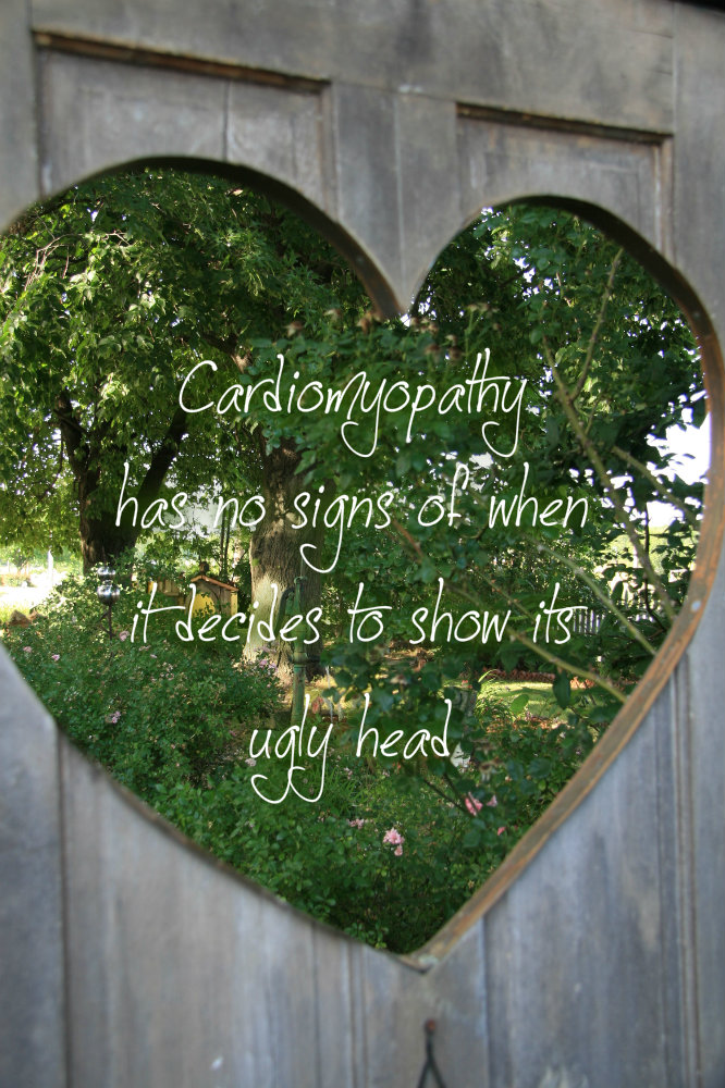 pizap.com10.75778682949021461376504849611