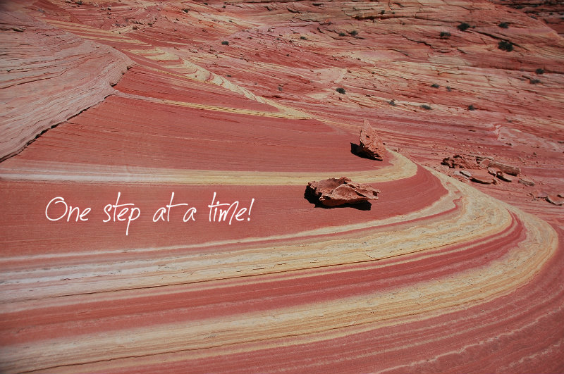 pizap.com10.77072716597467661376506188548