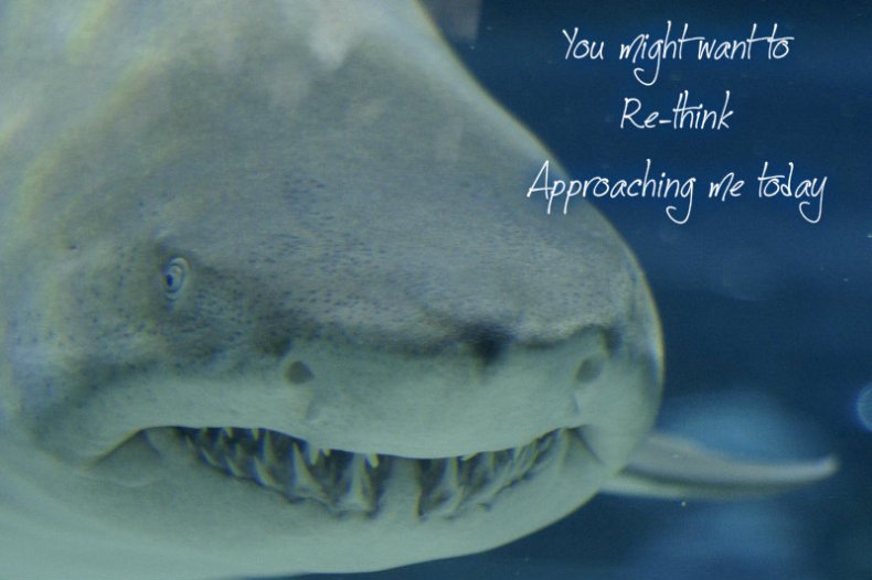 pizap.com10.77930958801880481375634741372