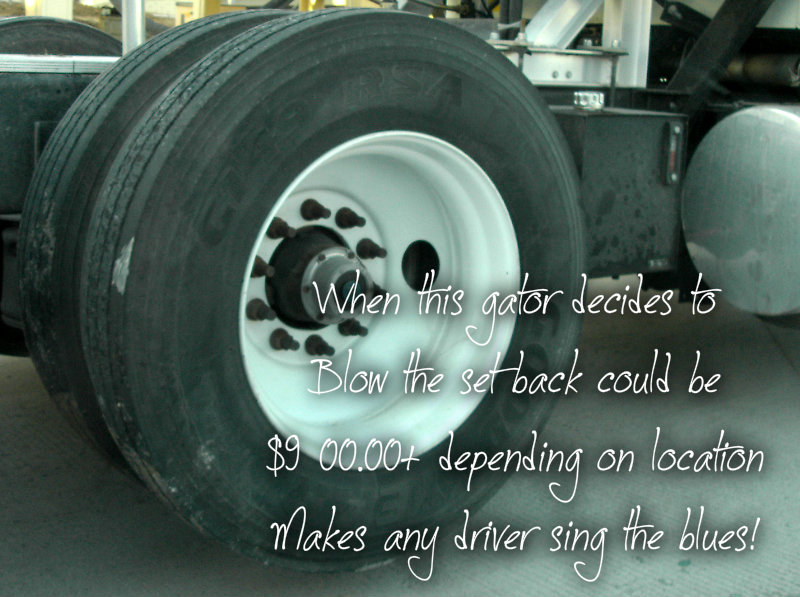 pizap.com10.78034702083095911375630215801