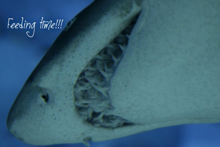 pizap.com10.7895215116441251375929080770