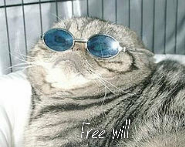 pizap.com10.80666800541803241376940456646