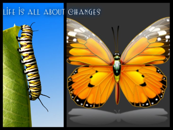 pizap.com10.81812402233481411373045038057