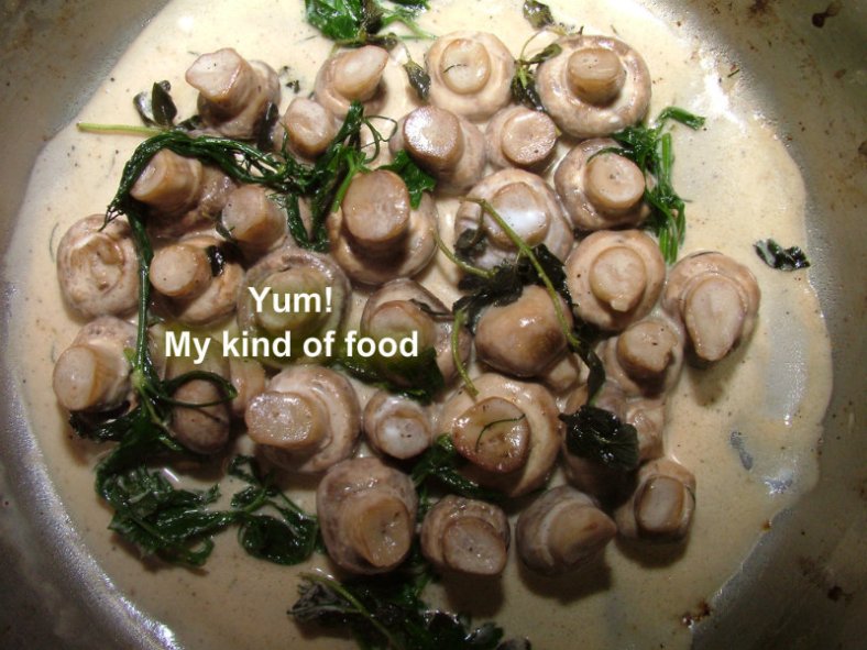 pizap.com10.82507947878912091377369230825