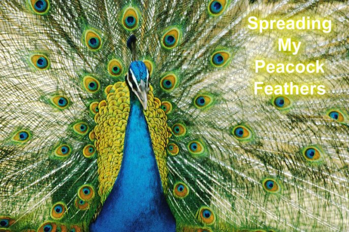 pizap.com10.82602737192064521373487682585