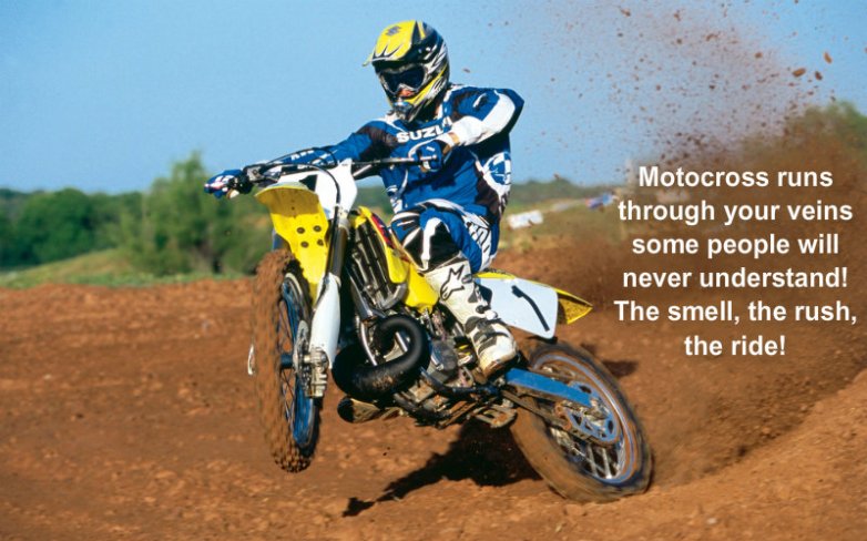 pizap.com10.83435033913701771379213602818