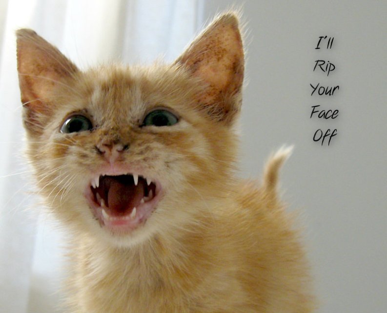 pizap.com10.84626556606963281374467227146