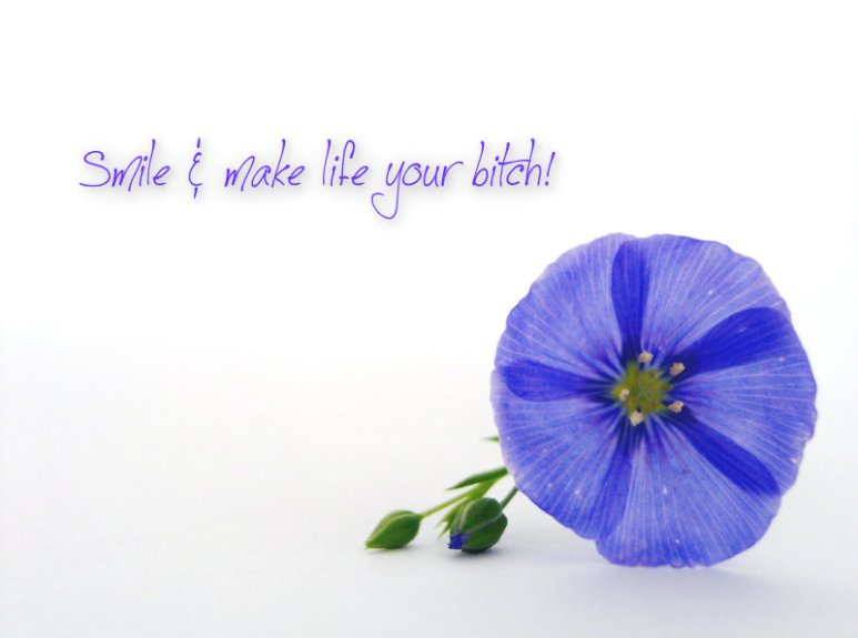 pizap.com10.84820247255265711375636422128