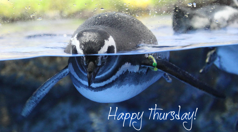 pizap.com10.85336295422166591375378943849