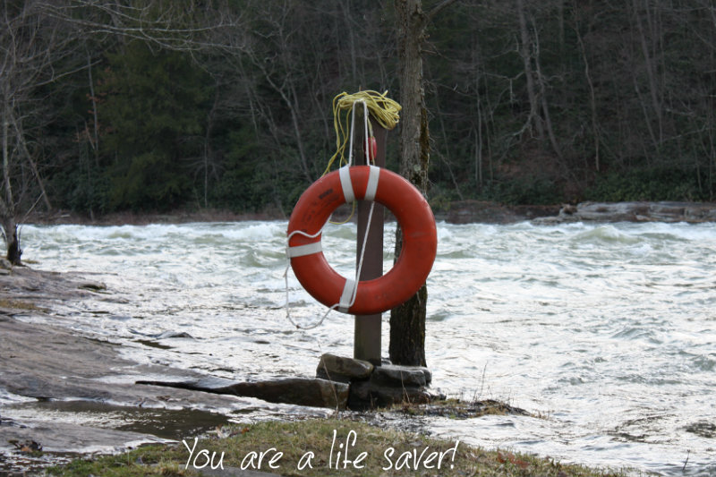 pizap.com10.85908901086077091377360642161