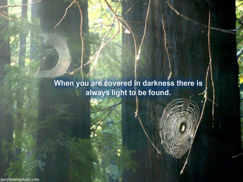 pizap.com10.86376942181959751372570470967