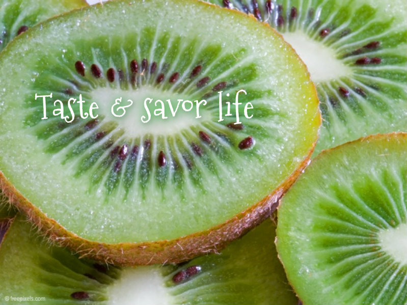 pizap.com10.86556619824841621374188202924