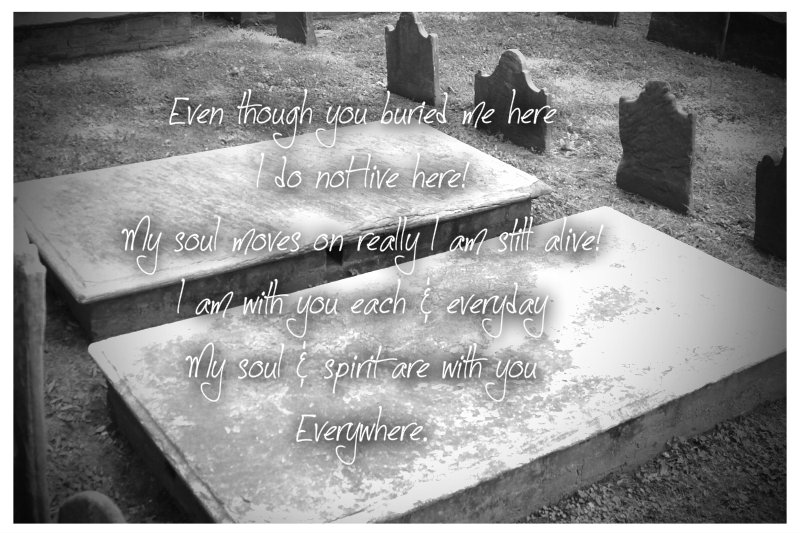 pizap.com10.8675558115355671375216654256