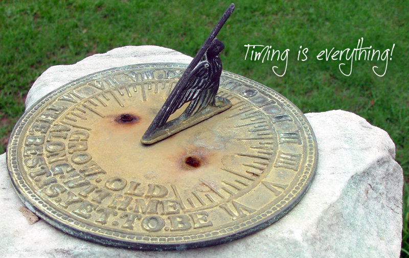 pizap.com10.87536086048930881376341678967