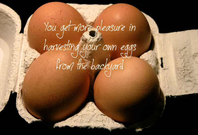 pizap.com10.878614881541581376860203517