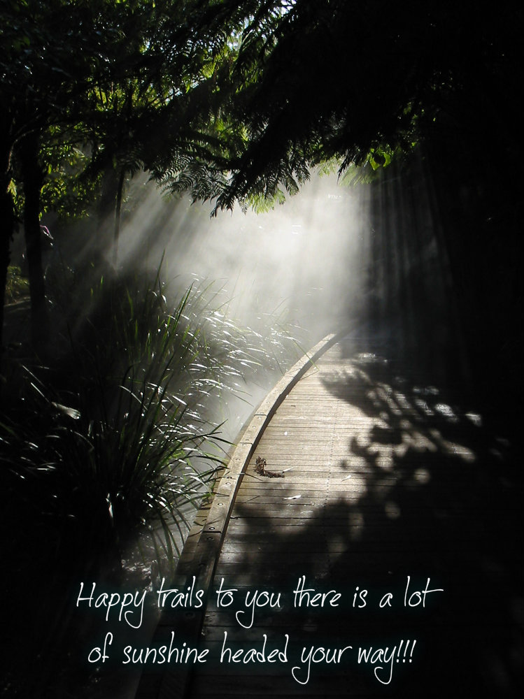 pizap.com10.88643597159534691376771181499