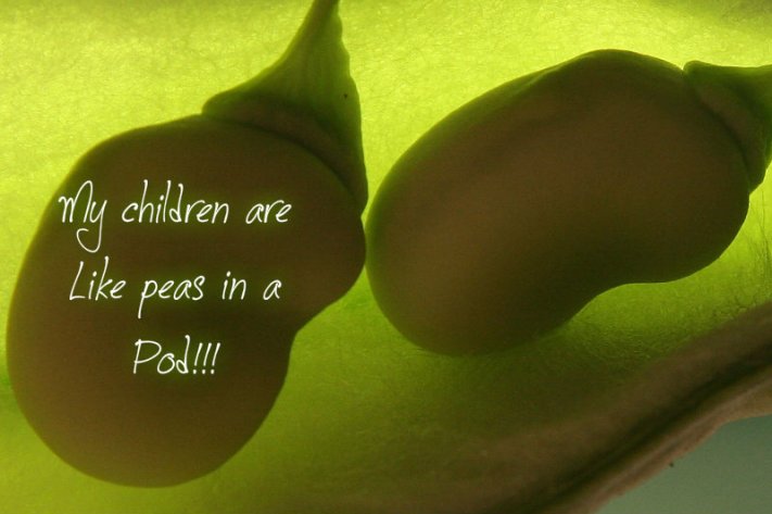 pizap.com10.89187516178935771376269510032