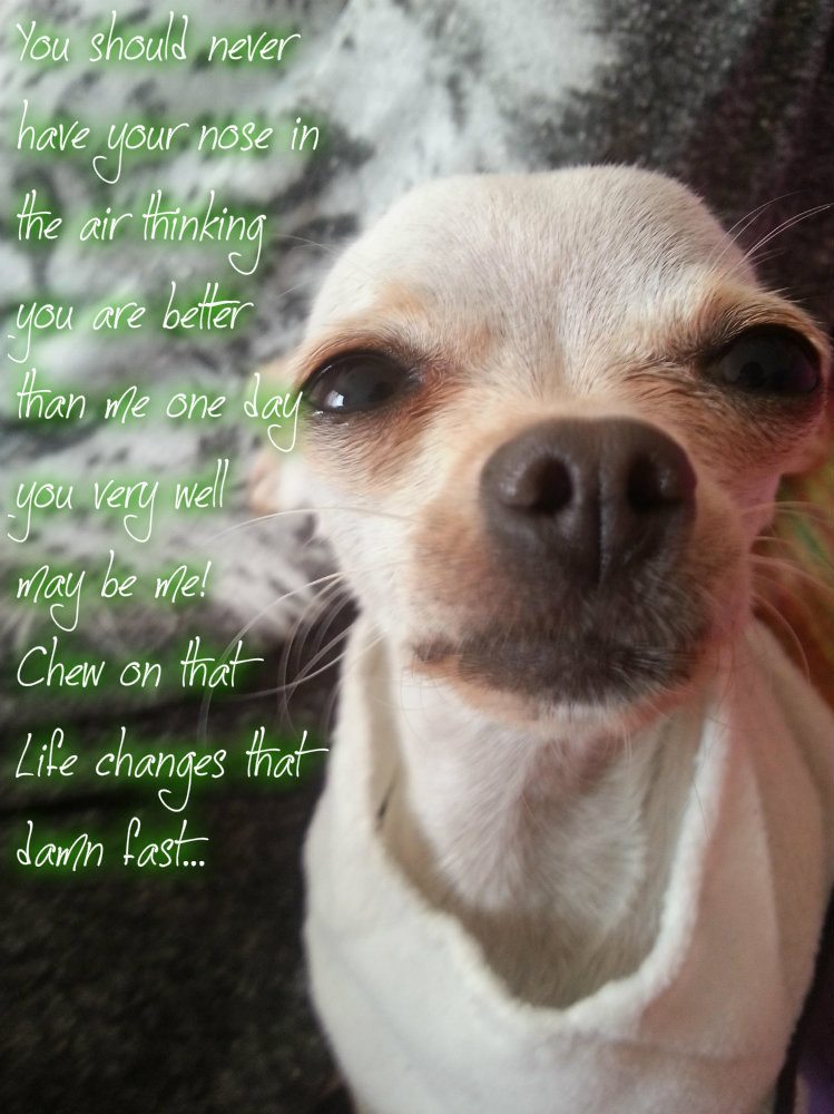 pizap.com10.89804896153509621377276481065