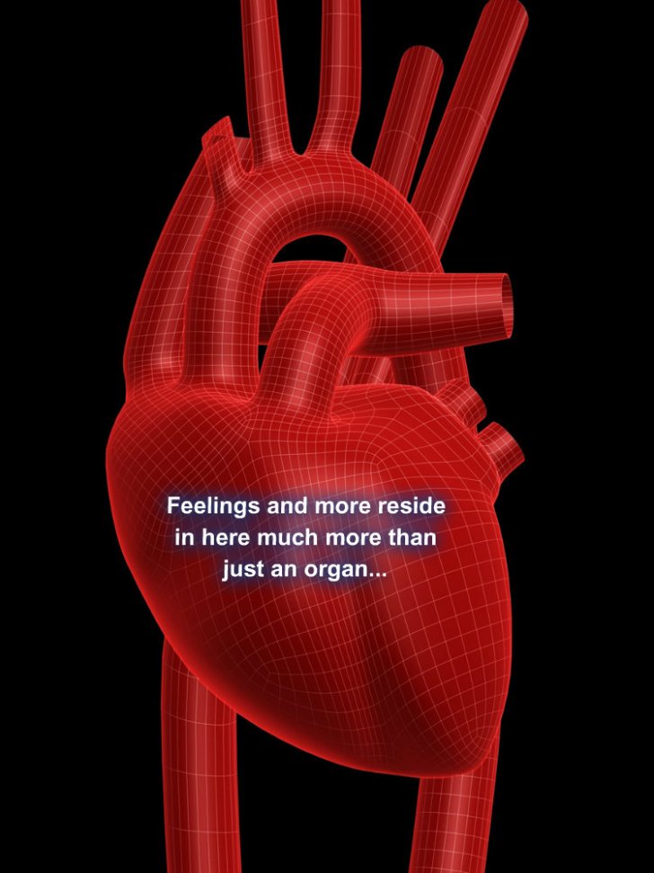 pizap.com10.91809661500155931373073163954