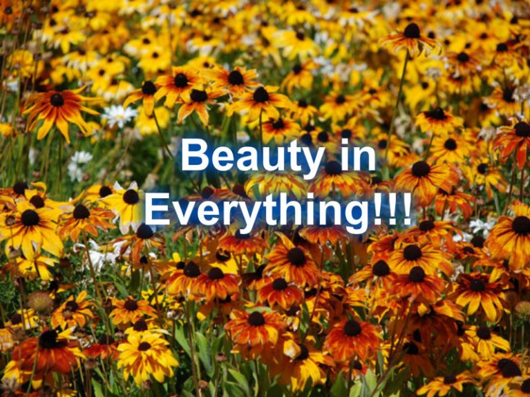 pizap.com10.91988540999591351373649054358