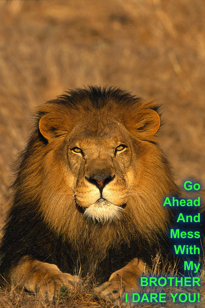 pizap.com10.92483153007924561372871102195