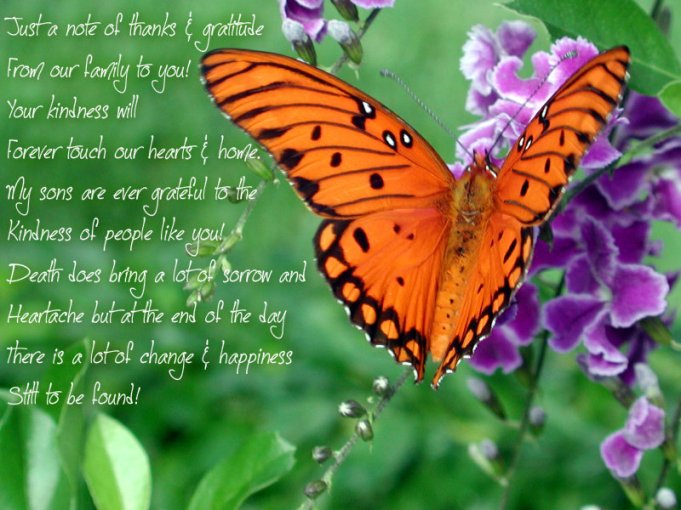 pizap.com10.92555420380085711375202727039