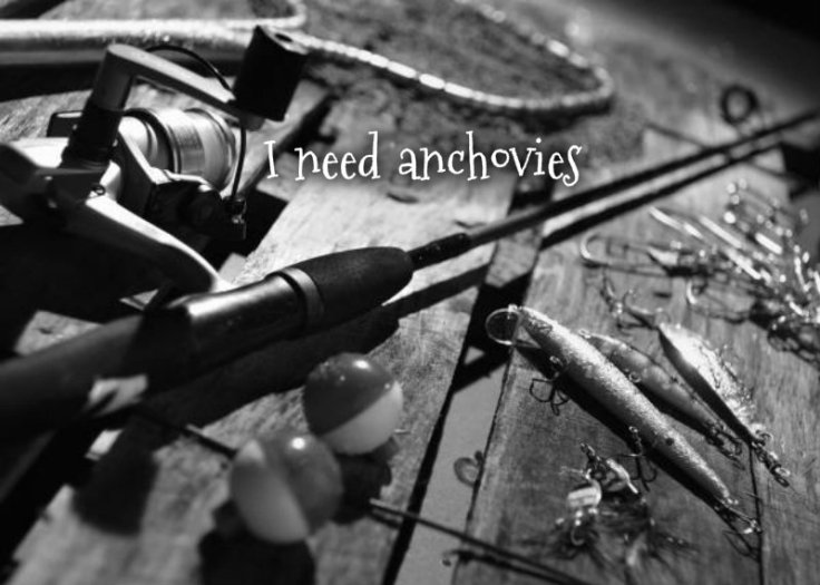 pizap.com10.92692075856029991373900976282