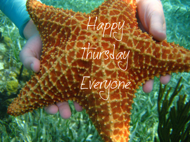 pizap.com10.94568145088851451374167749728