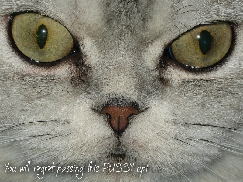 pizap.com10.96001927321776751375631626765