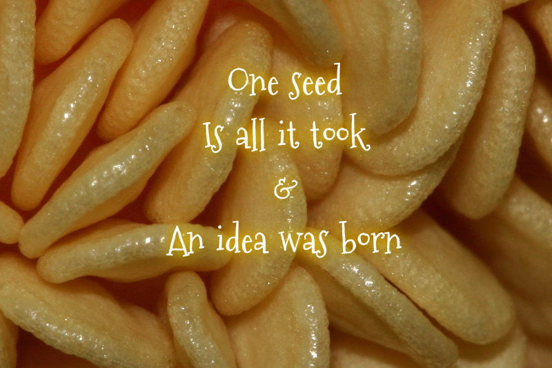 pizap.com10.96010815445333721375214794426