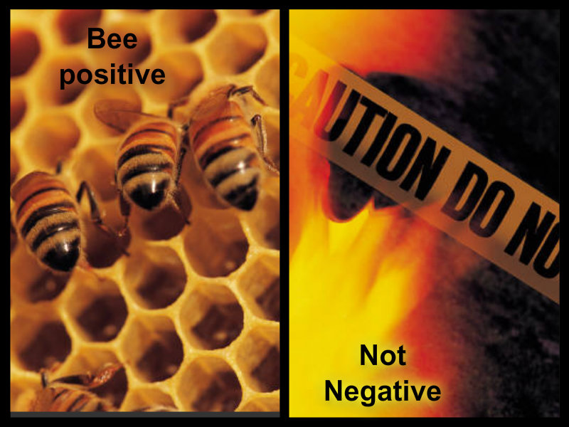 pizap.com10.96248657070100311373755558110