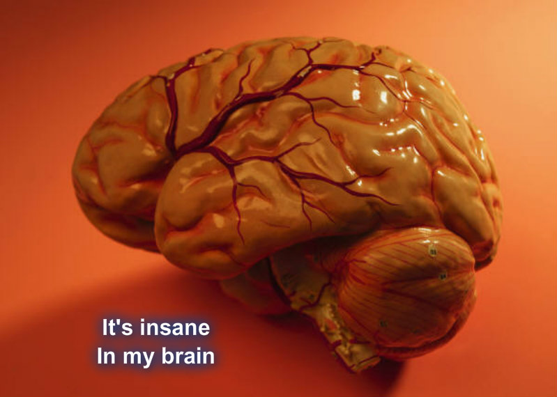 pizap.com10.97350162407383321373483079077