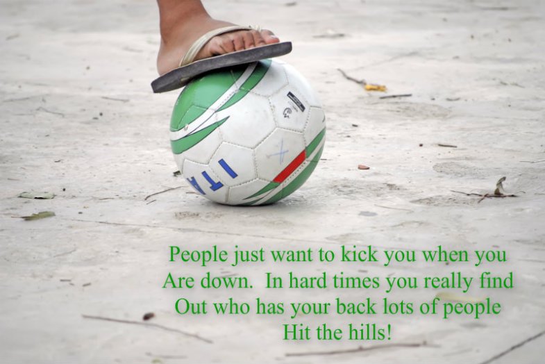 pizap.com10.9780969885177911375995275824