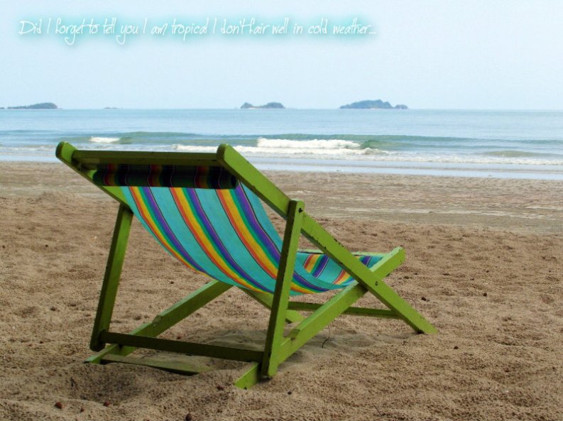 pizap.com10.97963253501802681376803030250