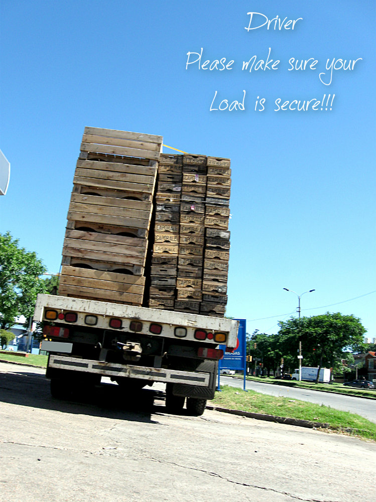 pizap.com10.99033390451222661376341475796