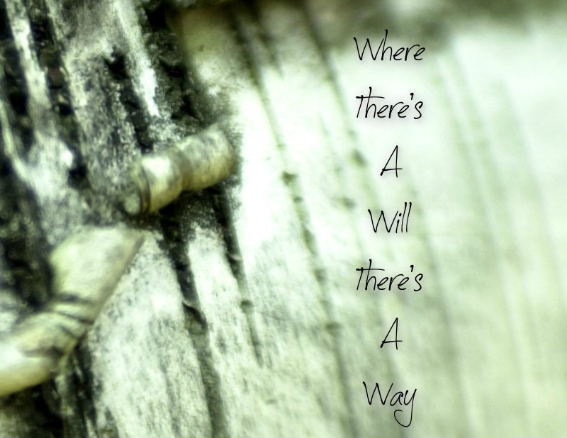 pizap.com10.9948783176951111375385290183