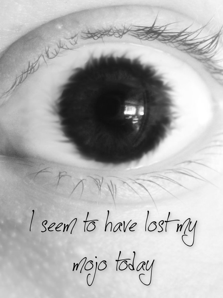 pizap.com10.99782414222136141376594650696