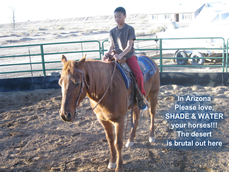 pizap.com10.99951547756791111373384597980