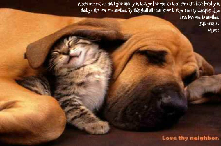 pizap.com14333605215861