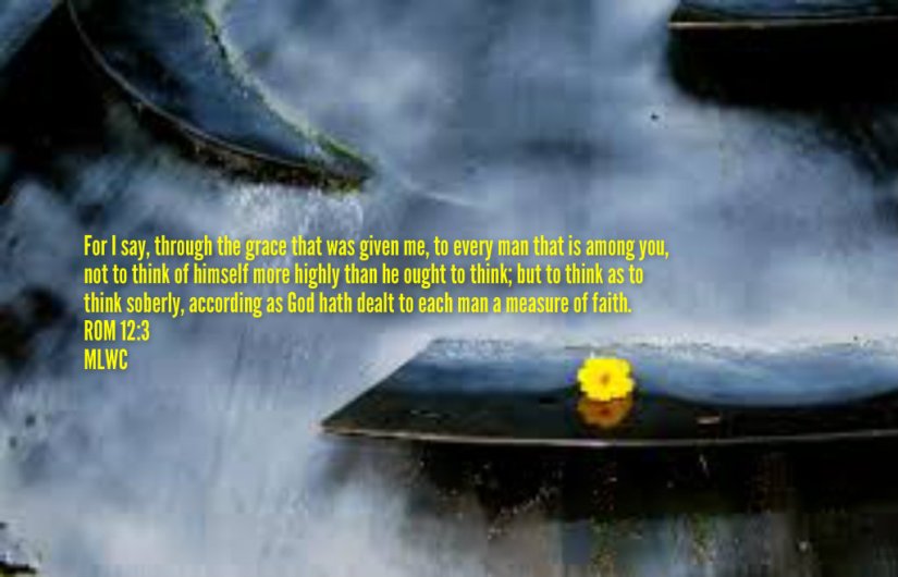 pizap.com14333606128631