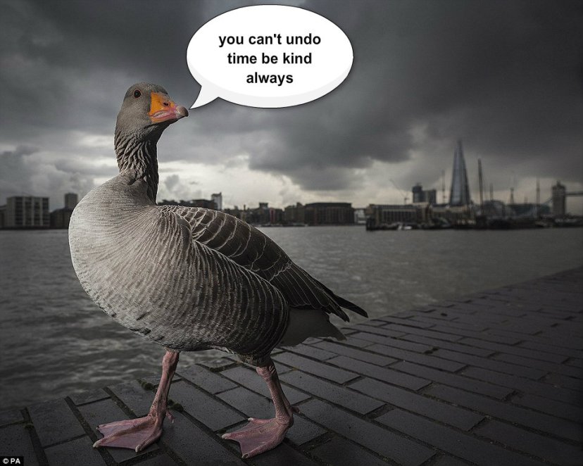 pizap.com14336175486621