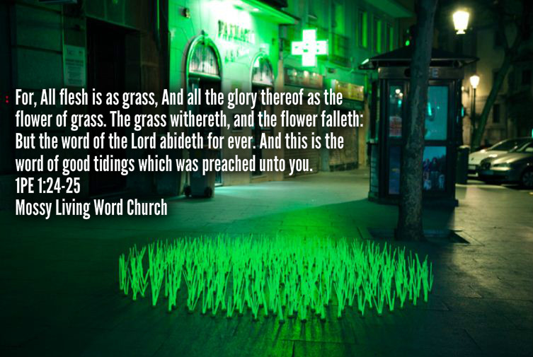 pizap.com14346654899391