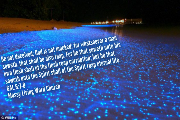 pizap.com14346656328221