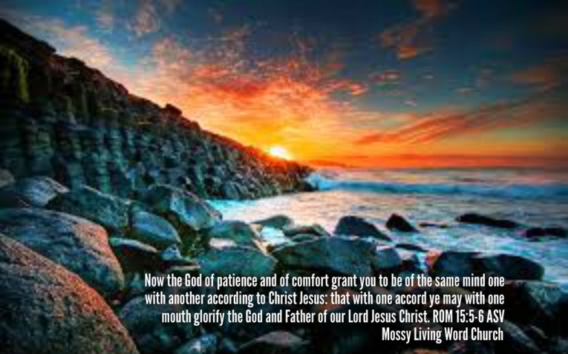 pizap.com14346658256611