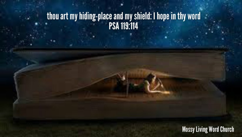 pizap.com14358529562761