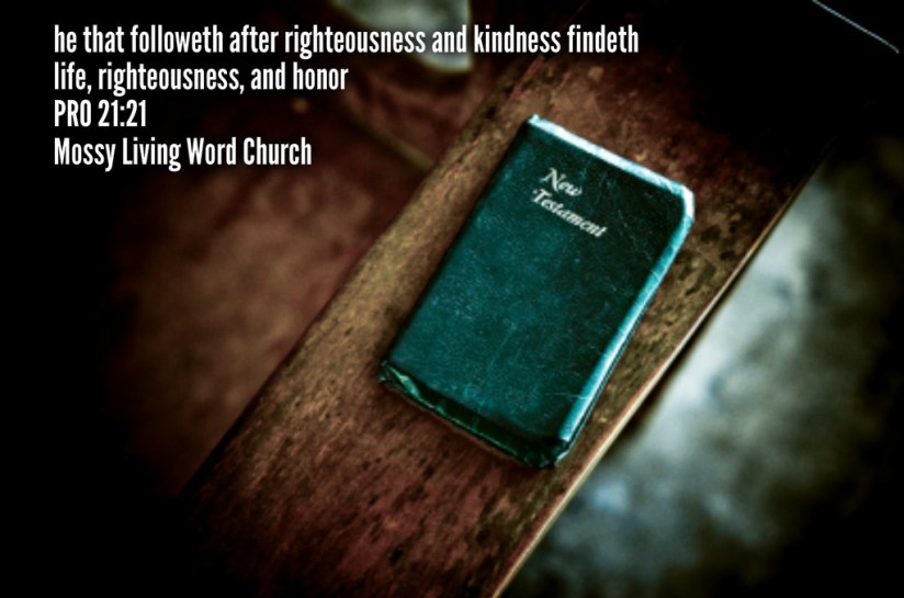 pizap.com14358547272761